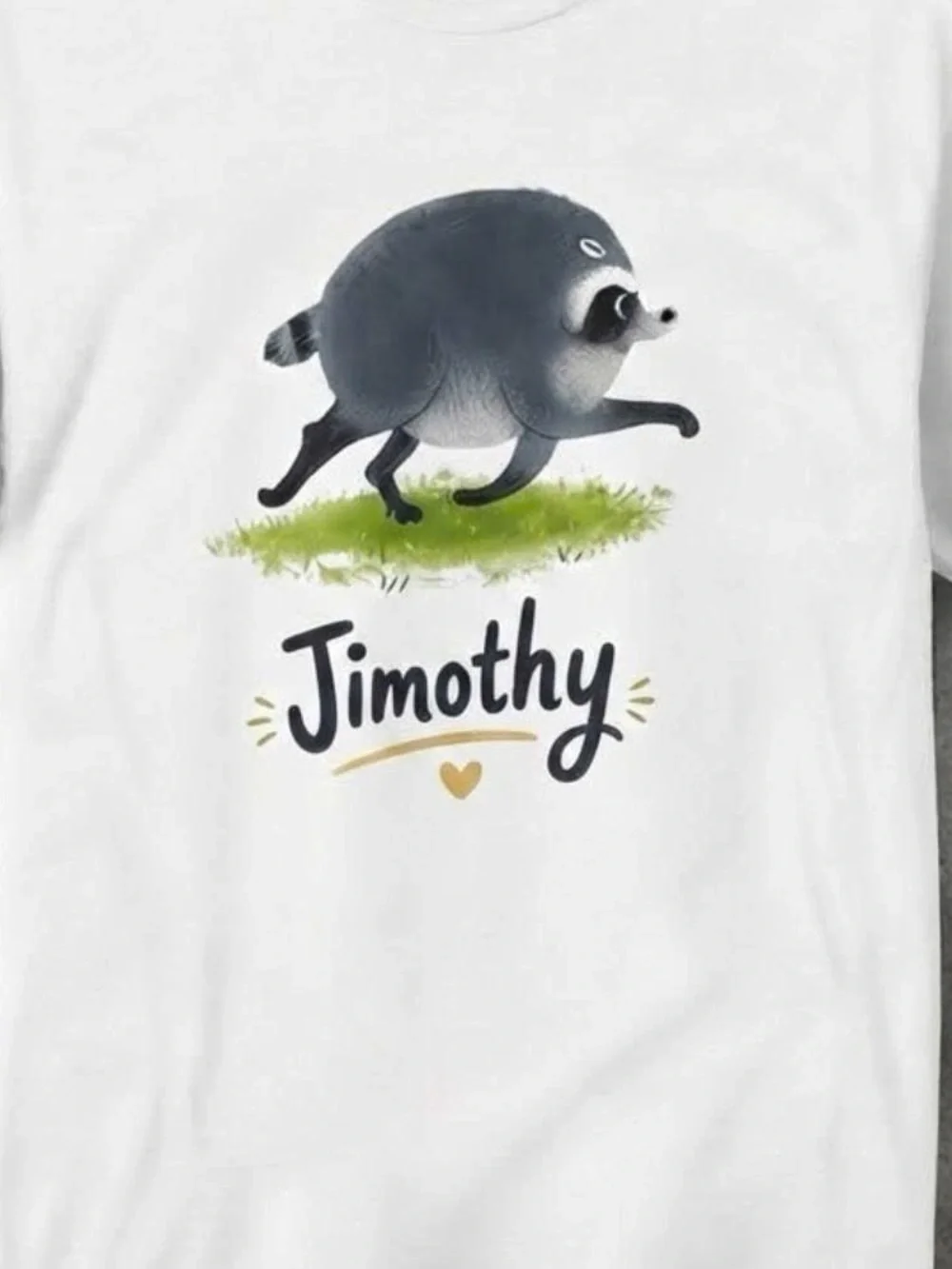 Jimothy Viral Raccoon Shirt Funny Trash Panda Wildlife